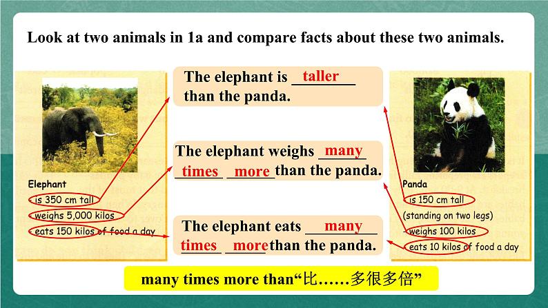 人教新目标八下英语 Unit 7 《What's the highest mountain in the world》Section B 1a-1d 同步课件+音视频08