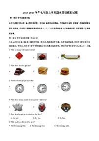 江苏省扬州市宝应县2023-2024学年七年级上学期期末英语模拟试题