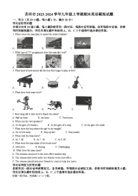 江苏省苏州市2023-2024学年九年级上学期期末模拟英语试题