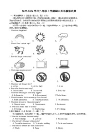 江苏省苏州市2023-2024学年九年级上学期期末模拟英语试题