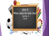 2023-2024学年人教新目标七年级下册Unit 9 Section A 2a-2d 课件