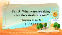 初中英语Unit 5 What were you doing when the rainstorm came?Section B课文内容ppt课件