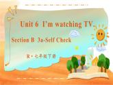 Unit 6 第5课时（B 3a-Self Check） 7年级人教英语下册{课件+教案]