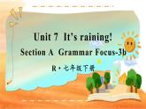 Unit 7 第2课时（A Grammar Focus-3b） 7年级人教英语下册{课件+教案]