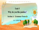 Unit 5 第2课时（A Grammar Focus-3c） 7年级人教英语下册{课件+教案]