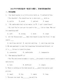2024年中考英语备考一轮复习专题八：形容词的基础用法（试卷+解析）