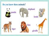 人教版七年级英语下册课件 Unit 5 Why do you like pandas？第1课时（Section A 1a-1c）
