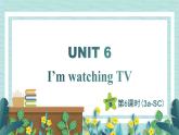 人教版七年级英语下册课件 Unit 6 I‘m watching TV 第6课时（Section B 3a-Self Check）