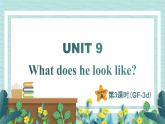 人教版七年级英语下册课件 Unit 9 What does he look like？第3课时（Section A Grammar Focus-3d）
