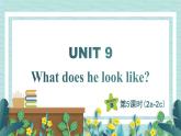 人教版七年级英语下册课件 Unit 9 What does he look like？第5课时（Section B 2a-2c）
