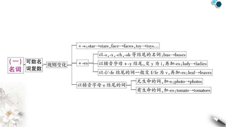 中考英语复习专题一词类考点一名词教学课件03