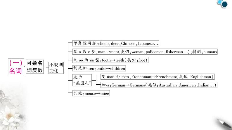 中考英语复习专题一词类考点一名词教学课件04