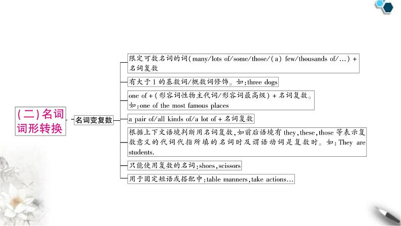 中考英语复习专题一词类考点一名词教学课件08