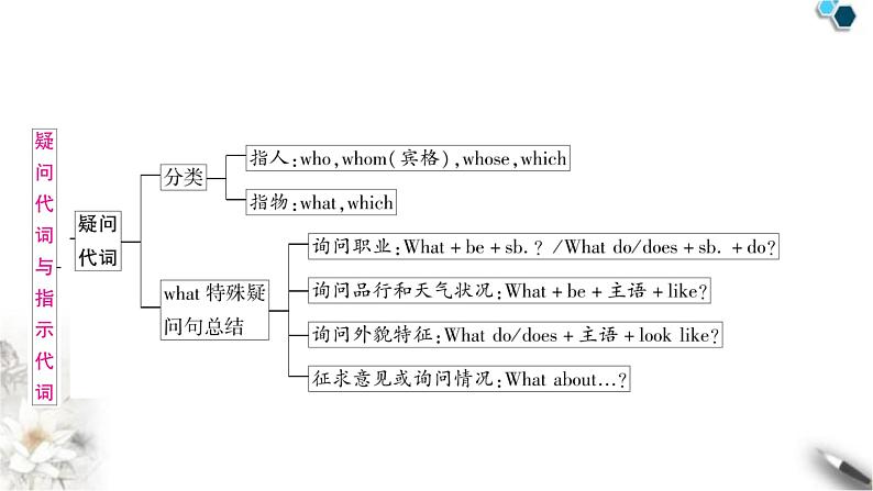 中考英语复习专题一词类考点四代词知识点3疑问代词与指示代词教学课件第2页