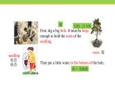 Unit 2 Lesson 7 Planting Trees  课件冀教版英语八年级下册