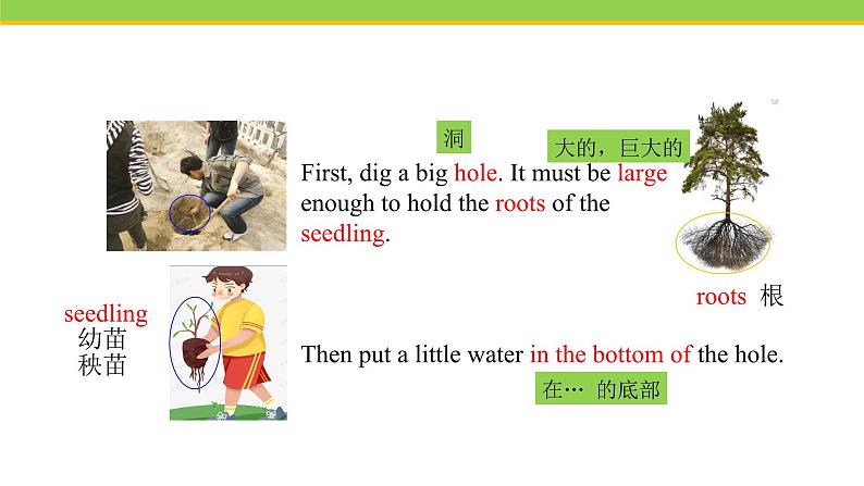 Unit 2 Lesson 7 Planting Trees  课件冀教版英语八年级下册第3页