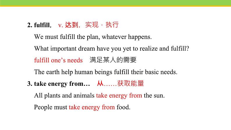 Unit 2 Lesson 8 Why Are Plants Important  课件冀教版英语八年级下册07