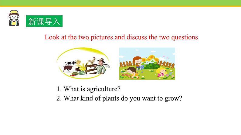 Unit 2 Lesson 12 Danny’s plant  课件 冀教版英语八年级下册02