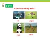 Unit 3 Lesson 14 Amazing  animals  课件 冀教版英语八年级下册