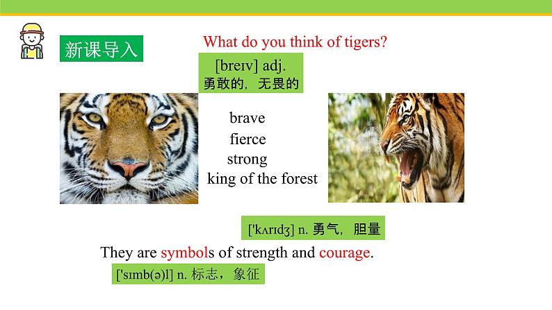 Unit 3 Lesson 17 Save the tigers  课件冀教版英语八年级下册02