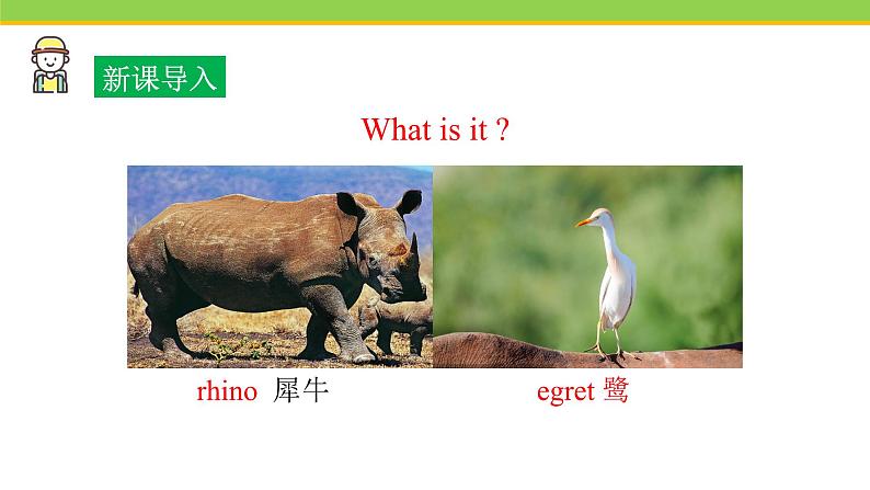 Unit 3 Lesson 18 Friendship between animals  课件冀教版英语八年级下册第2页