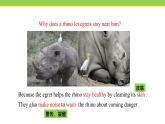 Unit 3 Lesson 18 Friendship between animals  课件冀教版英语八年级下册