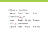 Unit 6 Lesson 32 My favorite record 課件冀教版英語八年級下冊