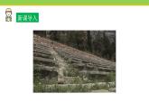 Unit 6 Lesson 33 2 800 Years of Sports 課件 冀教版英語(yǔ)八年級(jí)下冊(cè)