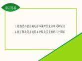 Unit 7 Lesson 42 North  America 课件冀教版英语八年级下册