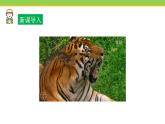 Unit 8 Lesson 47 Connected to Nature 課件 冀教版英語八年級下冊
