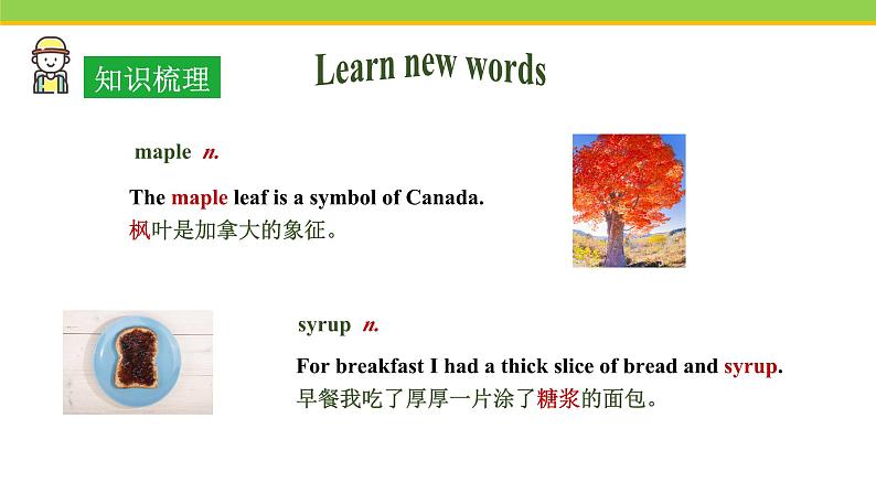 Unit 6 Lesson 34 Steven's Report 课件 冀教版英语七年级下册06