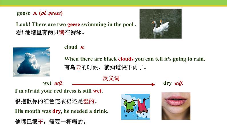 Unit 6 Lesson 34 Steven's Report 课件 冀教版英语七年级下册07