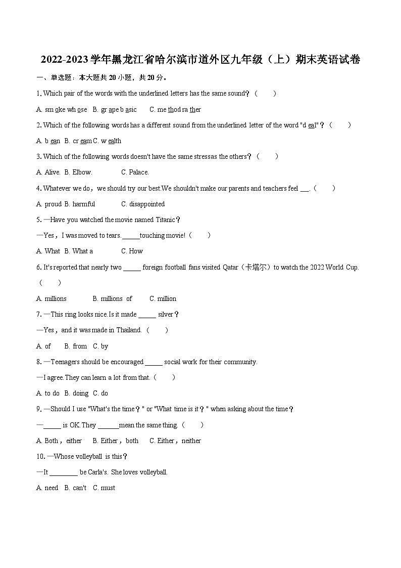 2022-2023学年黑龙江省哈尔滨市道外区九年级（上）期末英语试卷（含详细答案解析）01