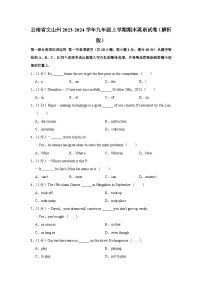 云南省文山州2023-2024学年九年级上学期期末英语试卷+