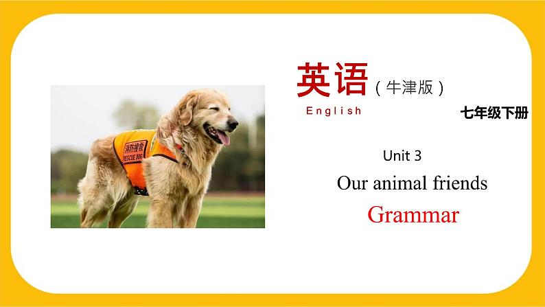 3.2 Grammar【课件】牛津版本 初中英语七年级下册Unit 3 Our animal friends01