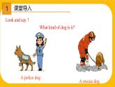 3.3 Listening and Speaking【课件】牛津版本 初中英语七年级下册Unit 3 Our animal friends