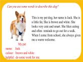 3.4 Writing【课件】牛津版本 初中英语七年级下册Unit 3 Our animal friends