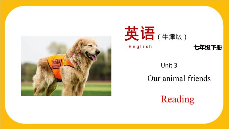 3.1 Unit 3 Reading（课件）牛津版本 初中英语七年级下册Unit 3 Our animal friends01