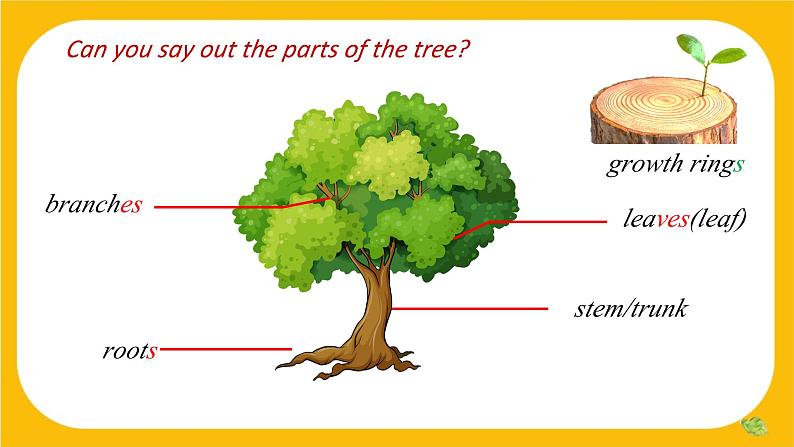 4.1 Reading【课件】牛津版本 初中英语七年级下册Unit4 Save the trees第4页