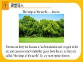 4.5 More practice【课件】牛津版本 初中英语七年级下册Unit4 Save the trees