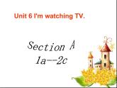 人教版七年级英语下Unit 6  I'm watching TV Section A(1a-1c)教学课件