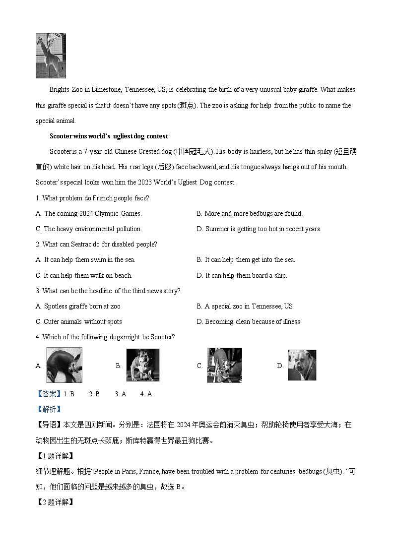 山东省烟台招远市（五四制）2023-2024学年九年级上学期期末考试英语试题（原卷+解析）02