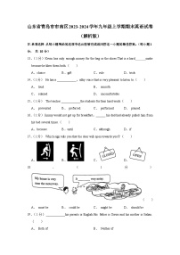 山东省青岛市市南区2023-2024学年九年级上学期期末英语试卷+