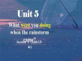 人教版初中英语八下Unit5《What were you doing when the rainsrorm came》SectionA(2d&GF-4c) 语法课件+素材