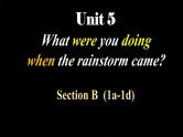 人教版初中英语八下Unit5《What were you doing when the rainsrorm came》SectionB(1a-1d) 听说课件+素材