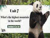人教版初中英语八下Unit7《What's the highest mountain in the world》SectionB(2a-2e) 大阅读课件+素材