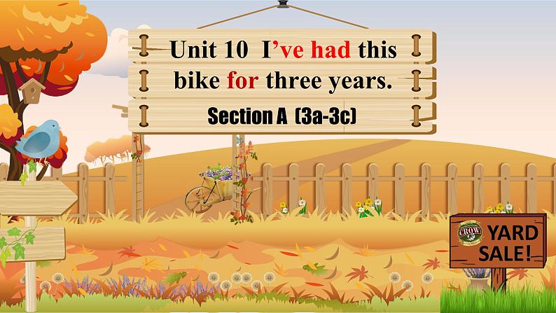 人教版初中英语八下Unit10《I've had this bike for three years》SectionA(3a-3c) 阅读课件+素材01