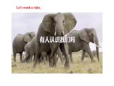 【公开课】人教新目标英语七下Unit 5  Why do you like pandas 第四课时 Section B (2a-2c) 课件+教案+素材包