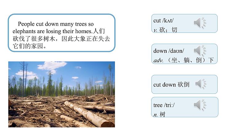 【公开课】人教新目标英语七下Unit 5  Why do you like pandas 第四课时 Section B (2a-2c) 课件+教案+素材包08