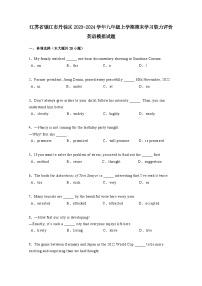 江苏省镇江市丹徒区2023-2024学年九年级上册期末学习能力评价英语模拟试题（附答案）